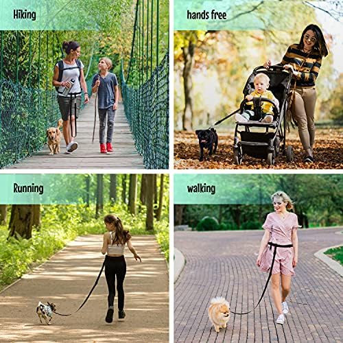 The Buddy System adjustable nylon leash strap