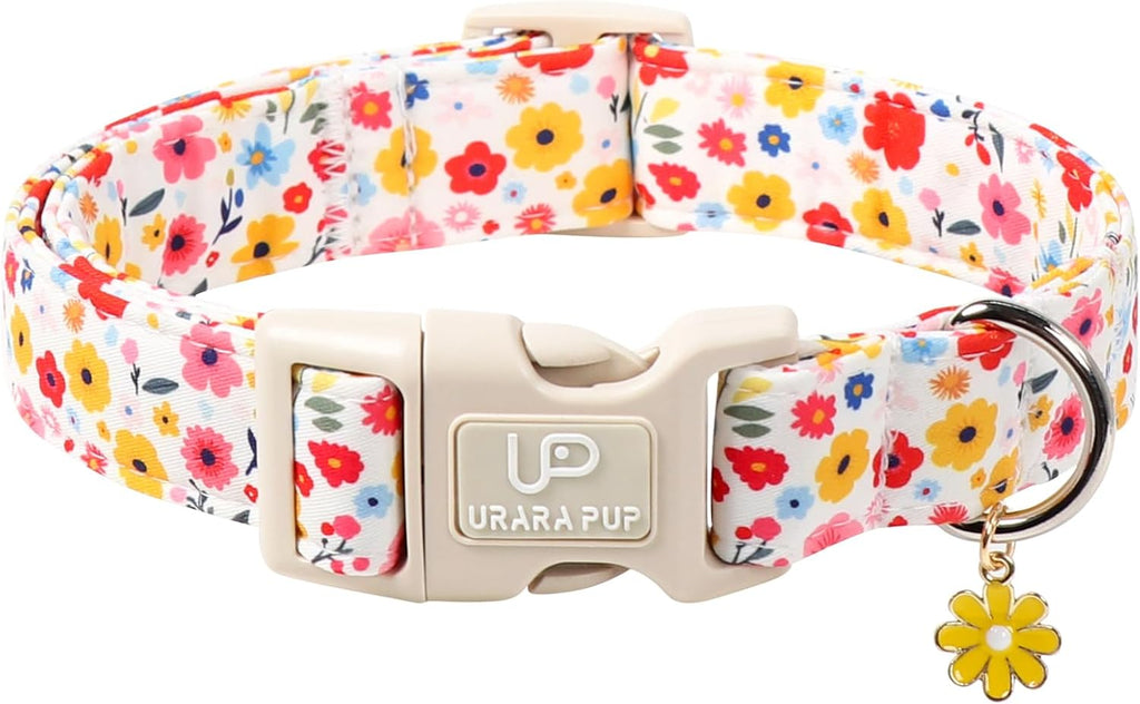 Small to large dog wearing pink plaid designer collar
