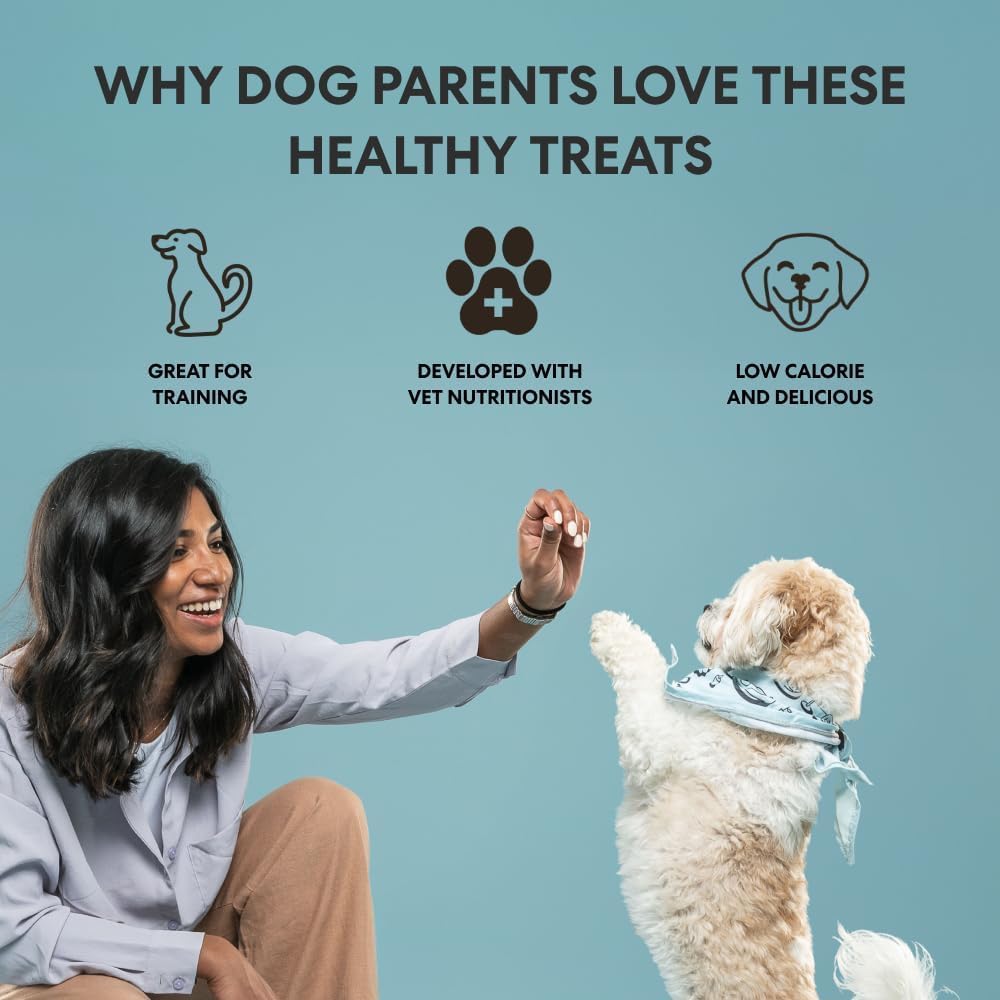 The Pets Table, Bundle of Chicken & Sweet Potato Air-Dried Dog Food, 48-Ounce Bag + Chicken Grain-Free Air-Dried Dog Treats, 5-Ounce Bag (Pack of 2) - Image 10