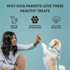 The Pets Table, Bundle of Chicken & Sweet Potato Air-Dried Dog Food, 48-Ounce Bag + Chicken Grain-Free Air-Dried Dog Treats, 5-Ounce Bag (Pack of 2) - Image 10