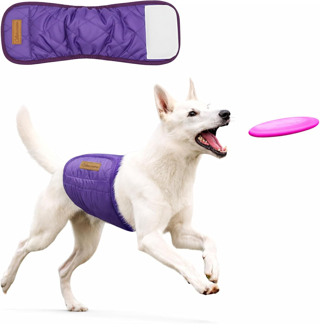 Colenumone five pack reusable dog belly bands for pet training and incontinence