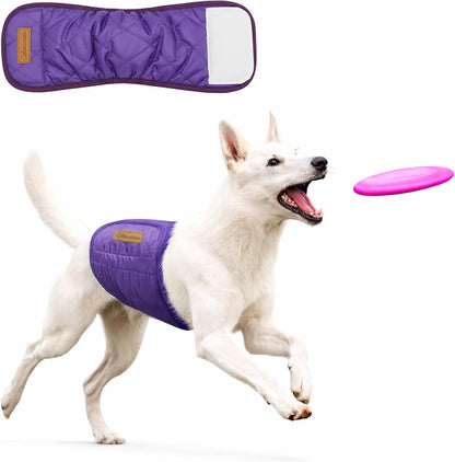 Colenumone five pack reusable dog belly bands for pet training and incontinence