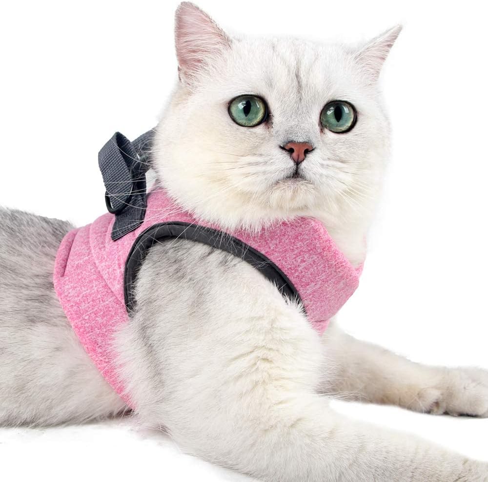 HEYWEAN Cat Harness and Leash - Ultra Light Escape Proof Kitten Collar Cat Walking Jacket with Running Cushioning Soft and Comfortable Suitable for Puppies Rabbits - Image 11