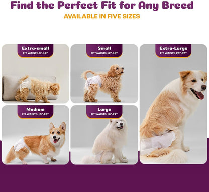 Premium imported female dog period diapers with adjustable tabs