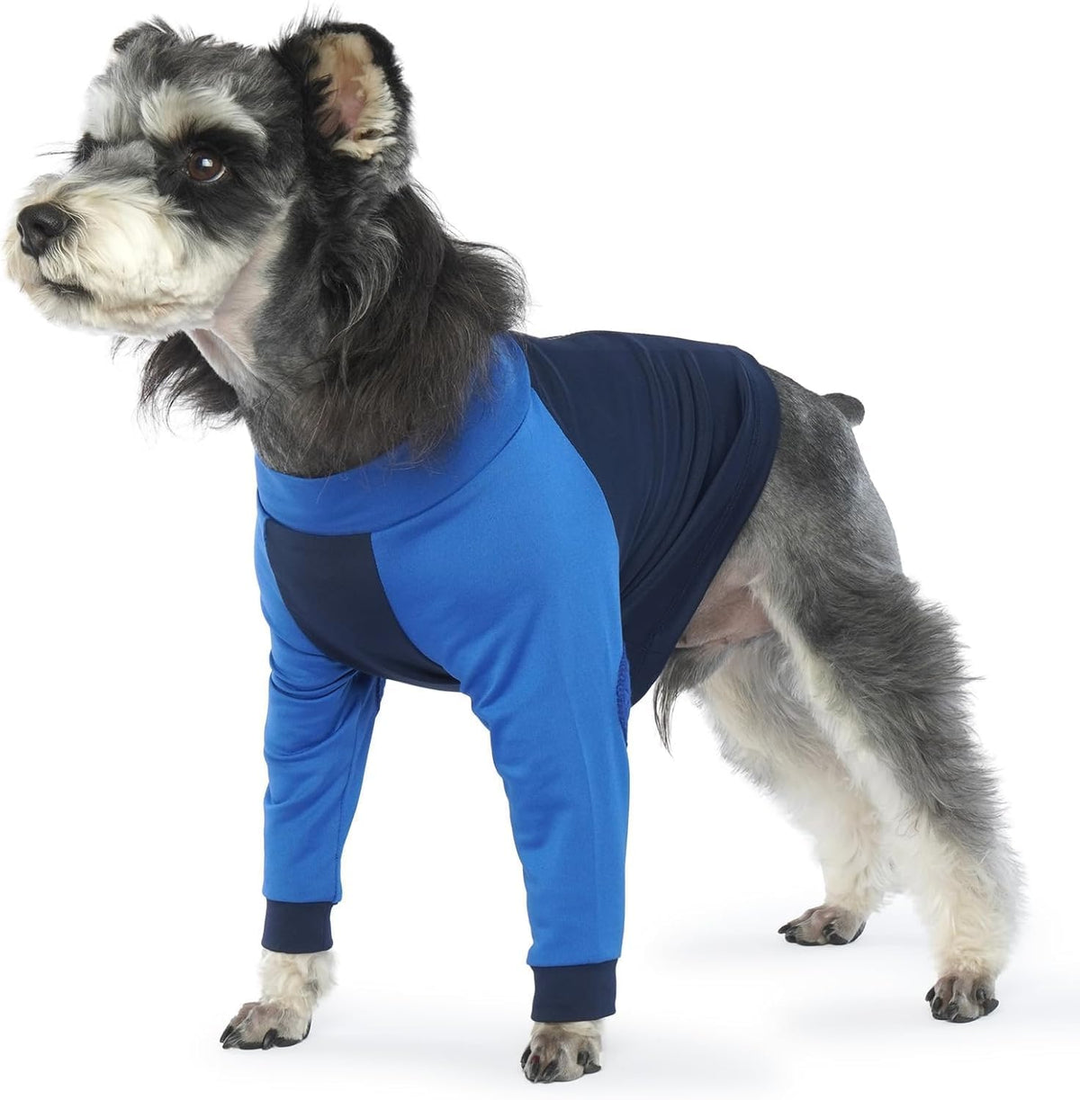 LeLePet dog recovery suit front legs view on a healing golden retriever