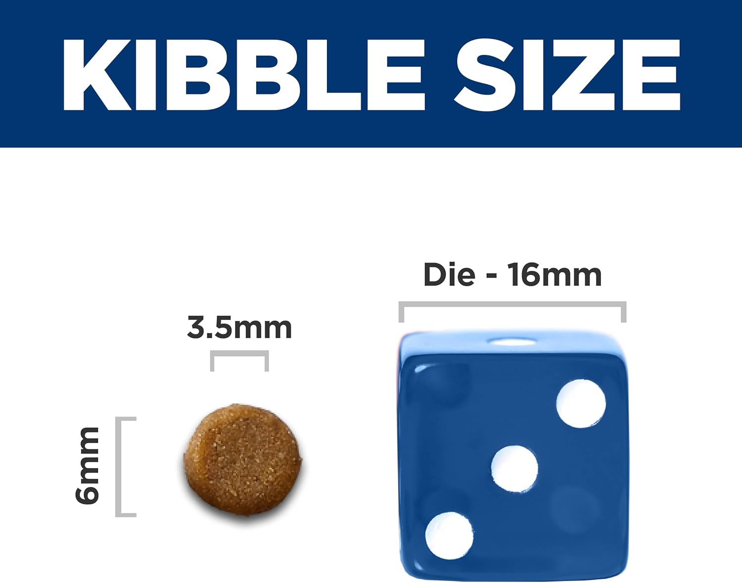 Authentic USA imported Hill's digestive care kitten kibble bag displayed on a clean background