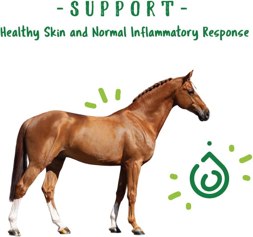 Natural fly defense horse supplement bucket showcasing the NASC quality seal of approval