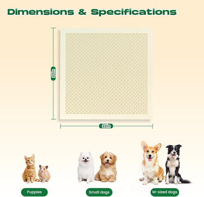 Doggo Doug premium imported pet training pads stacked neatly in a room.
