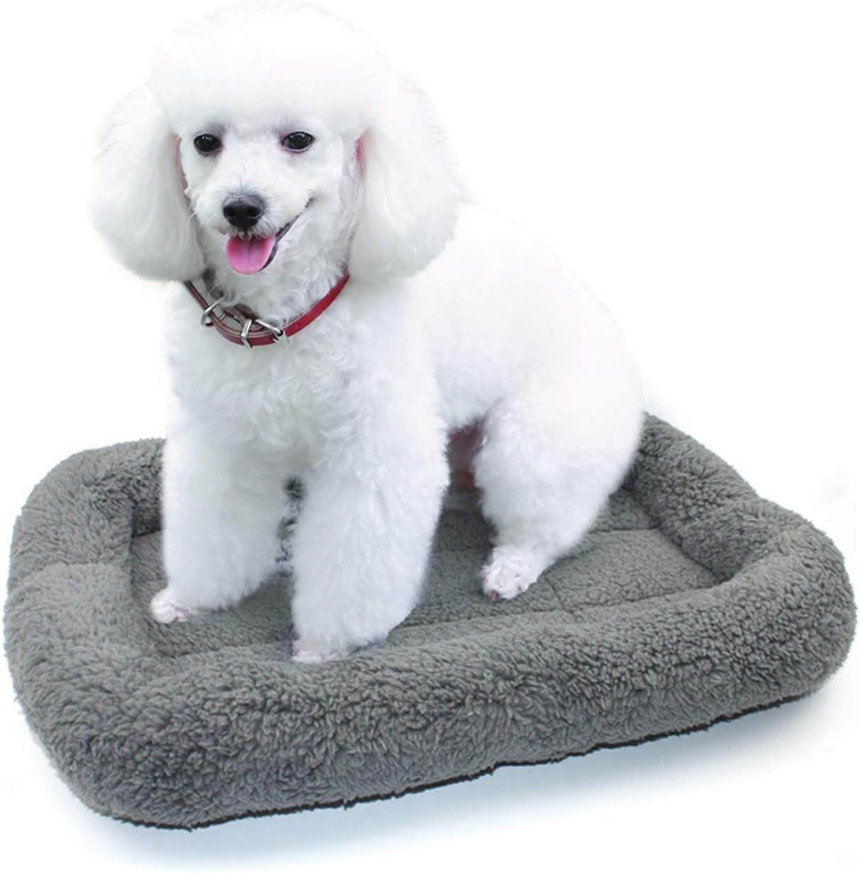 Enjoying authentic imported self-warming pet mat showing thick cotton filling