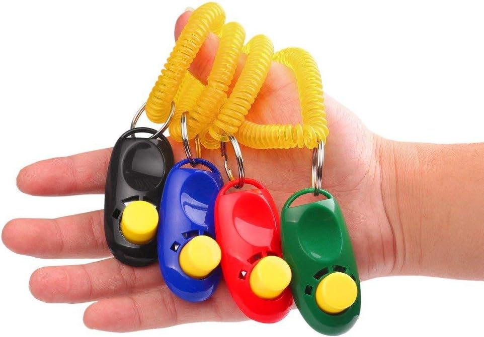 Red and black pet training clicker attached to a flexible wrist strap.