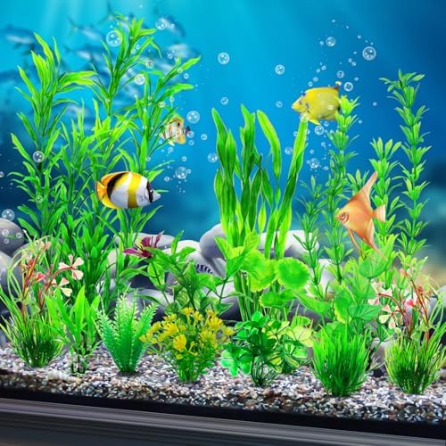 Eleven different styles of non toxic green fish tank plants arranged side by side