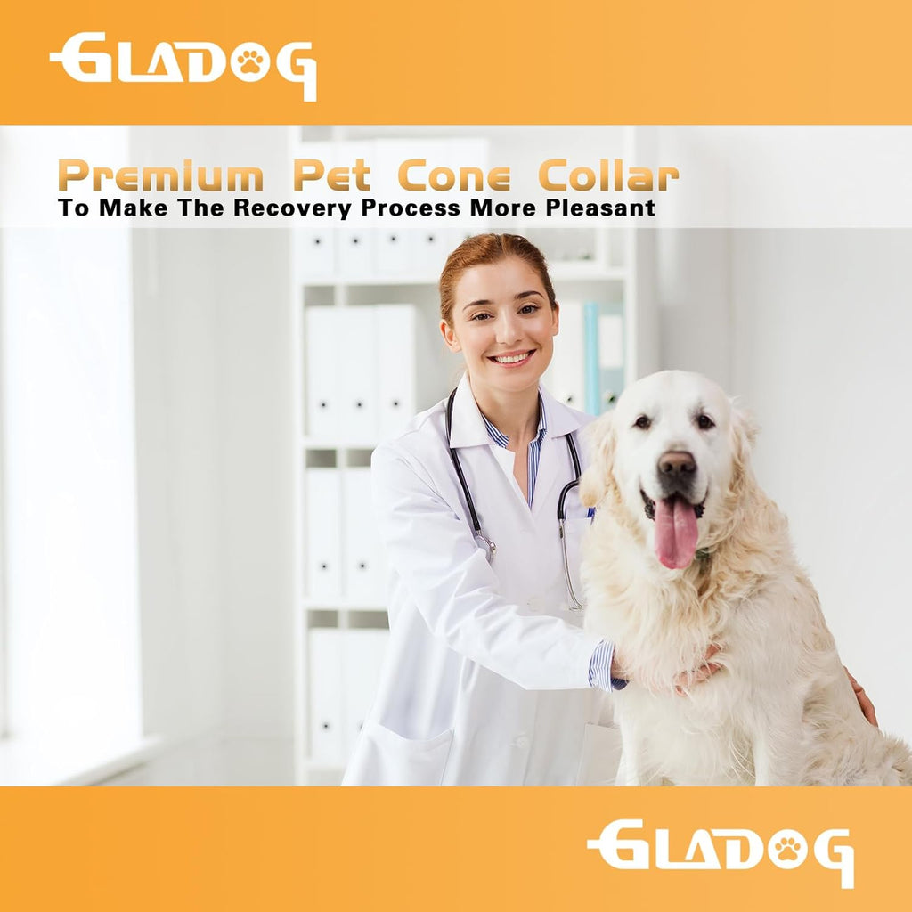 USA imported Gladog Elizabethan collar for medium dogs and cats healing.