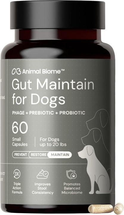 Animal Biome Probiotics for Dogs with S Boulardii, Gut Maintain (60 Capsules) - Triple-Action Large Dog Probiotics, Prebiotics & Phage Supplements for Gut Health, Firmer Stool & Diarrhea Support - Image 15