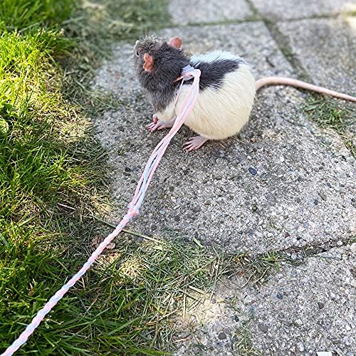 VTurboWay nylon small pet leash close up