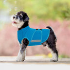 Size chart visual aid for Migohi anxiety relief coat