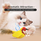 Pet safe interactive cat toy set with bird tail feathers