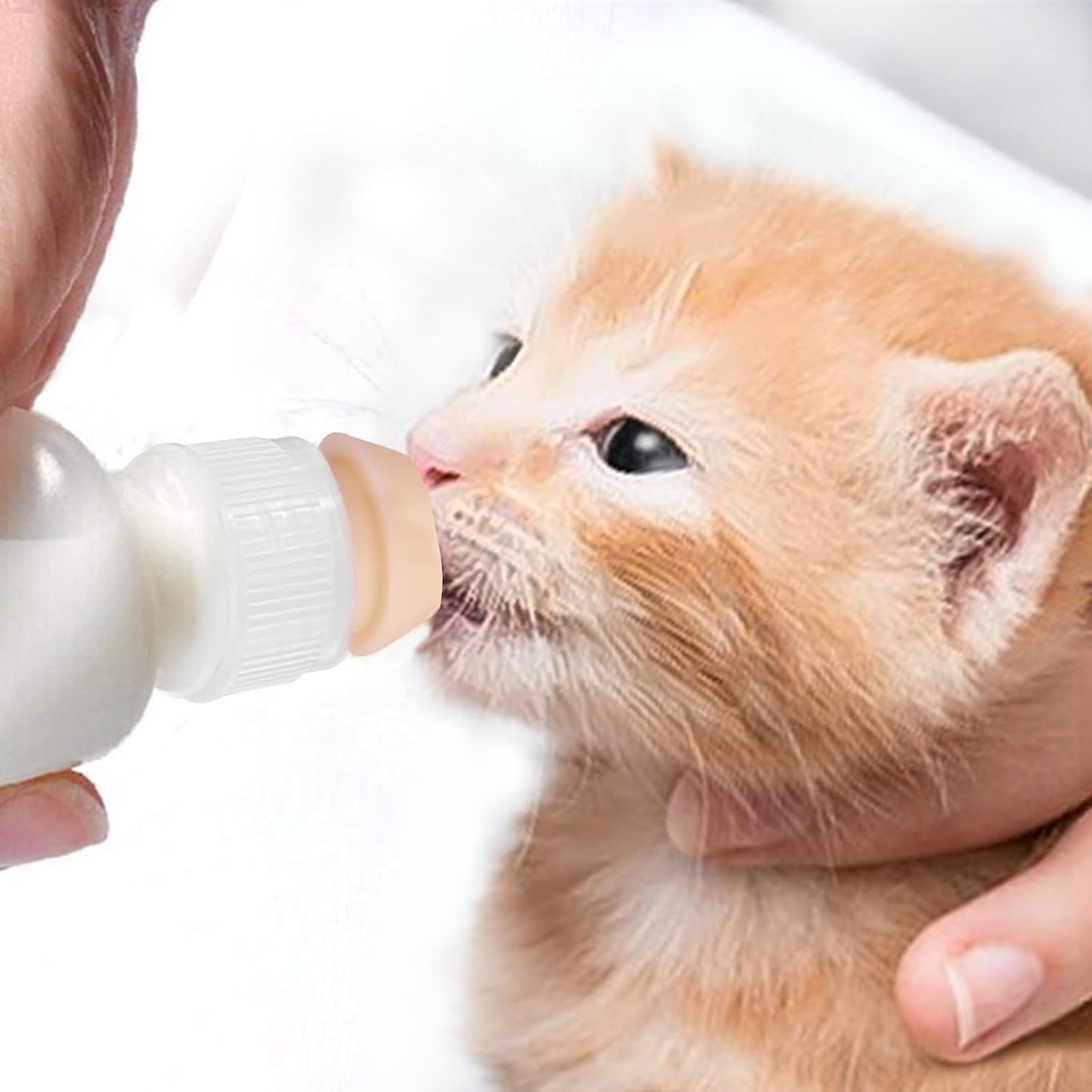 FEDIPUP pet feeding kit package with five durable plastic bottles for small animals.