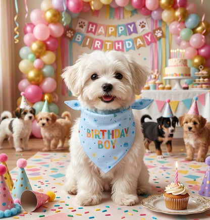 Dog birthday bandana folded showing triangle shape