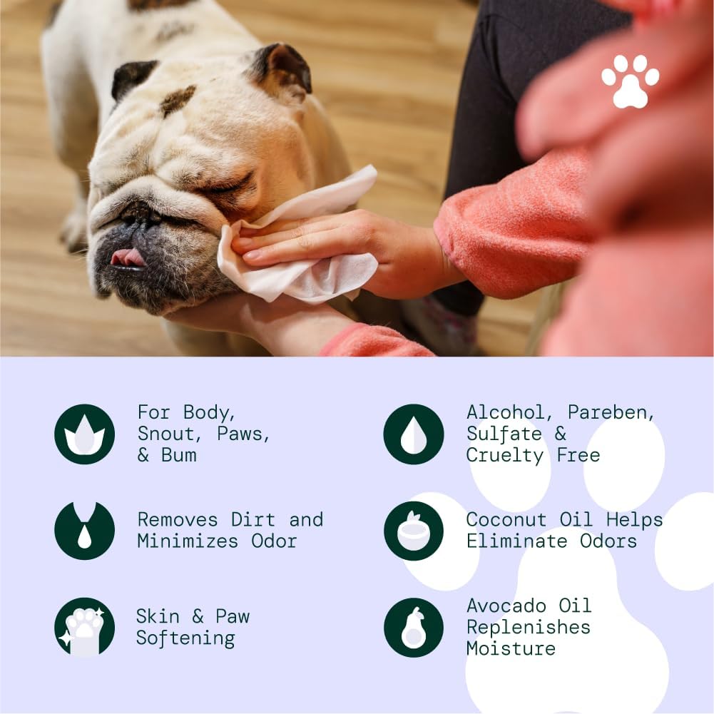 Alo daily pet grooming wipes pack showing secure spill proof lid design