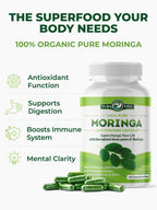 PURA VIDA MORINGA Organic Moringa Capsules, Pure Moringa Leaf Powder Single Origin for Energy, Metabolism & Immune Support, 120ct, 500mg Caps - Image 6