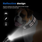 GDLKPS heavy-duty martingale collar quick-release buckle mechanism view.