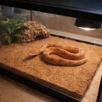 Moisture retentive coconut coir nesting and incubation medium inside a tropical turtle tank