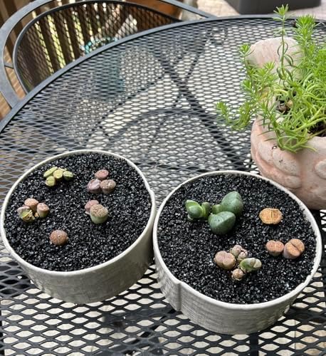 Toypopor decorative black gravel arranged in a clear glass vase