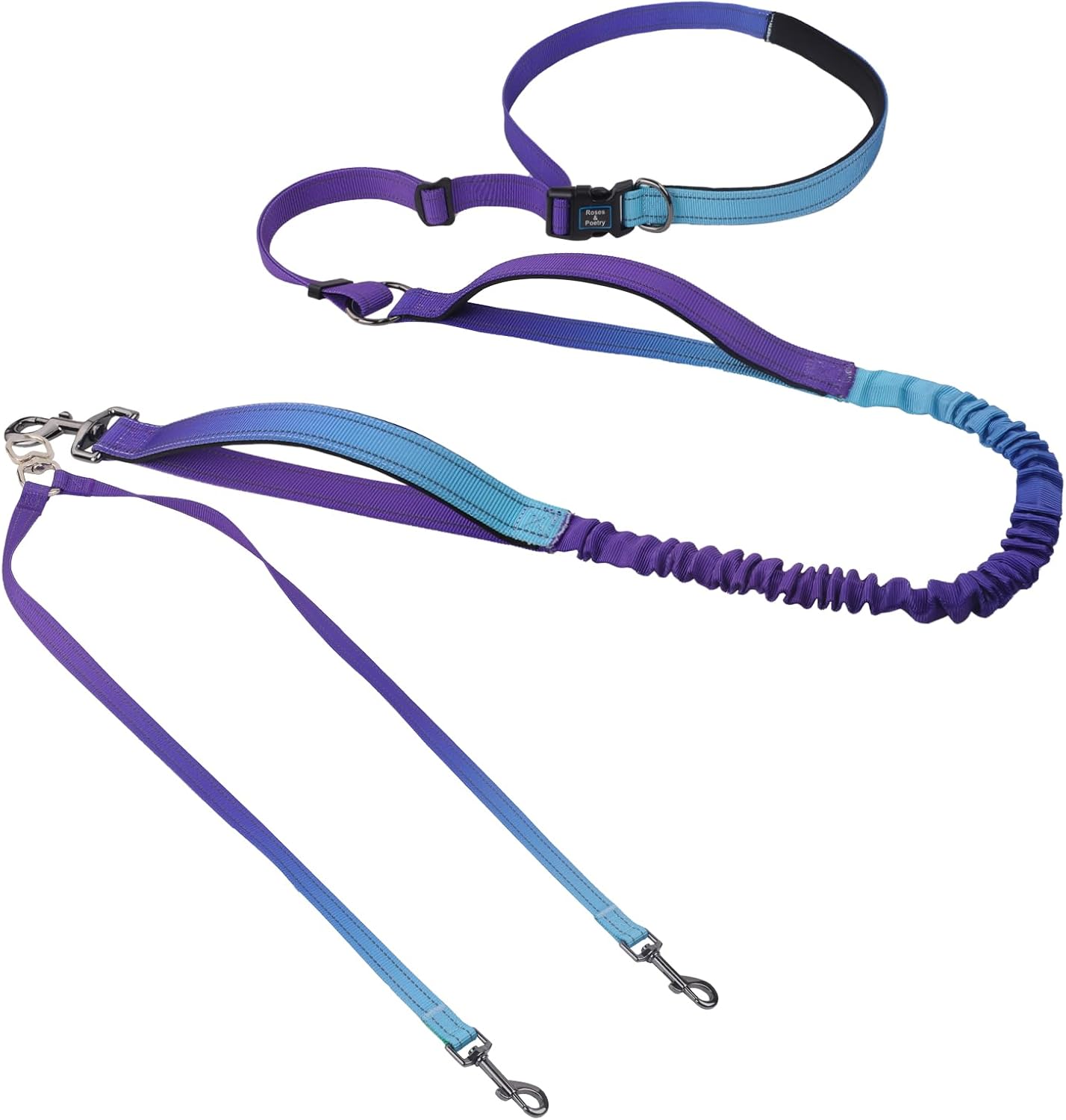 Roses&Poetry hands free double dog leash violet front view showing waist belt and dual bungee leads