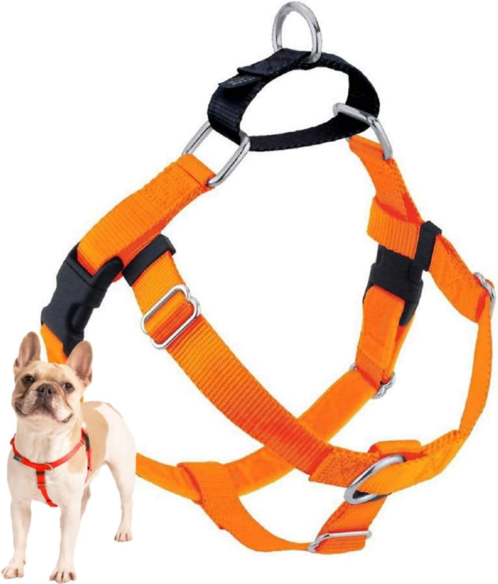 2 Hounds Design Freedom No Pull Dog Harness, Adjustable Harness, Easy Walking & Comfortable Control, Fits Small, Medium & Large Dogs, Solid Colors, Made in USA, 1" MD, Teal - Image 11