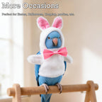 Back view highlighting the adjustable hook and loop fastener for easy pet dressing.