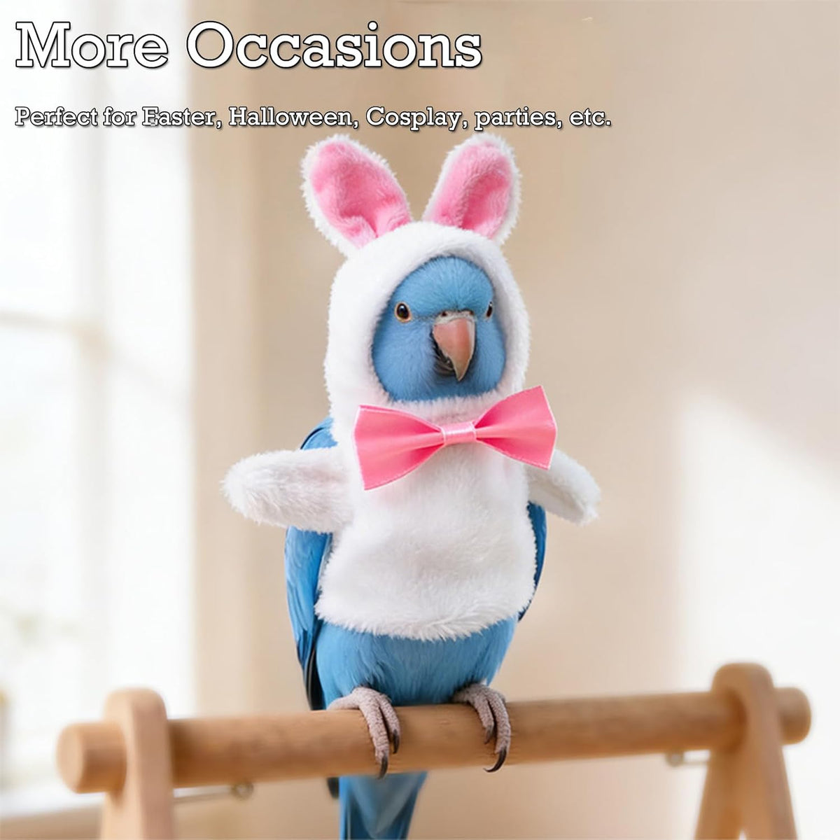 Back view highlighting the adjustable hook and loop fastener for easy pet dressing.