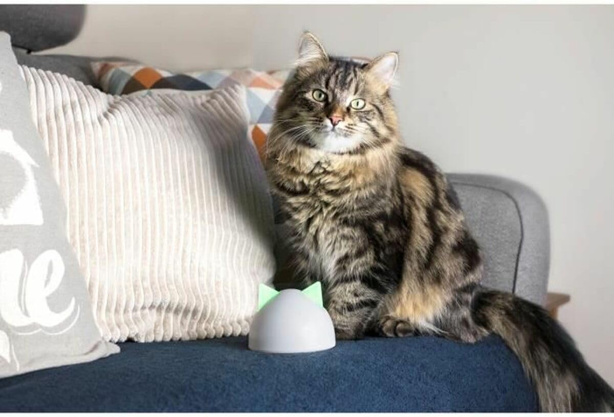 White plastic cat hub device plugged into power