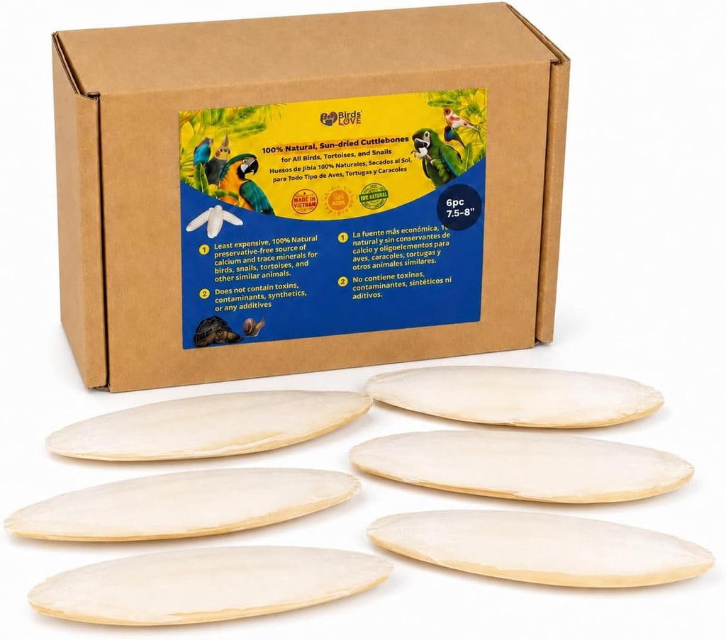 Birds LOVE 3.5-4" Cuttlebone for Birds - 100% Natural Sun-Dried Calcium & Beak Conditioning Supplement for Parakeets, Budgies, Cockatiels, Finches & Canaries - 4 Pack with Holder - Made in Vietnam - Image 12