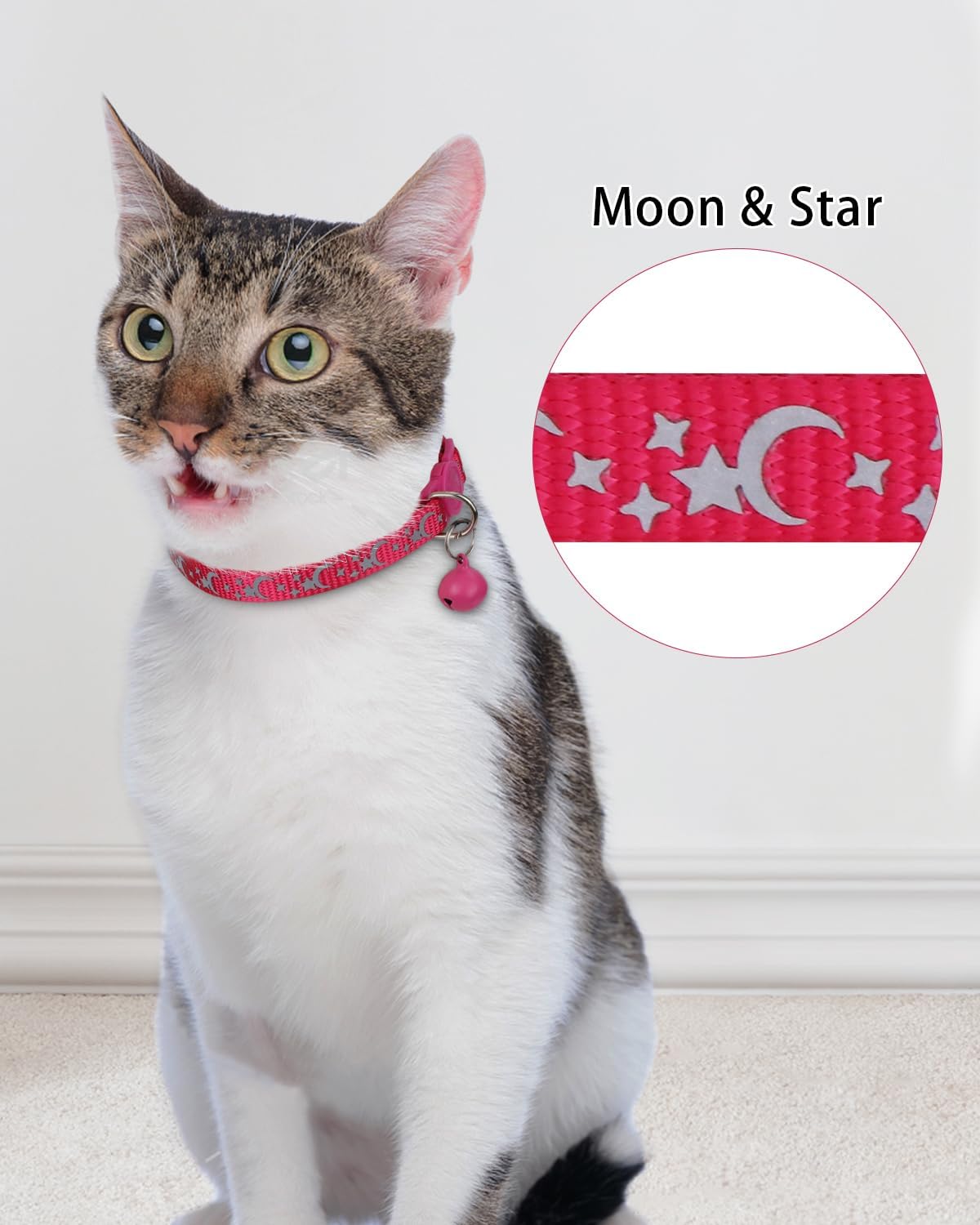 TagME adjustable nylon kitten collar with removable ringing bell and silent slide on identification tag