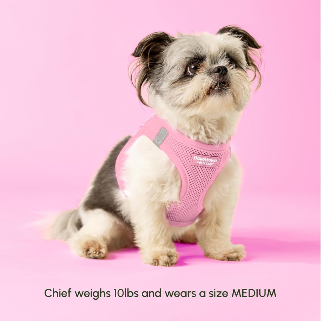 Adjustable padded mesh small dog harness with reflective trim
