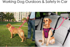 Elastic bungee buffer detail for dog car safety leash