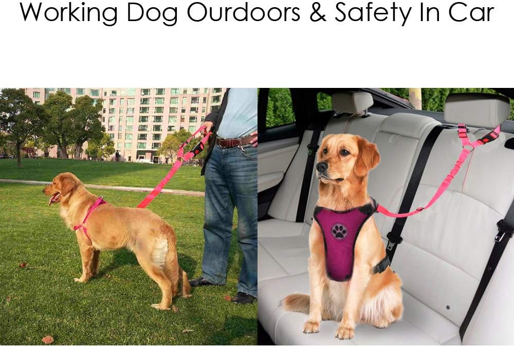 Elastic bungee buffer detail for dog car safety leash
