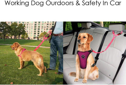 Elastic bungee buffer detail for dog car safety leash