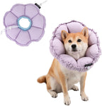 H Hidream soft Elizabethan collar side profile view