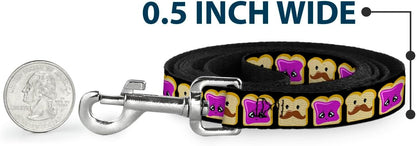 Full length view of 4 foot Buckle-Down pet leash