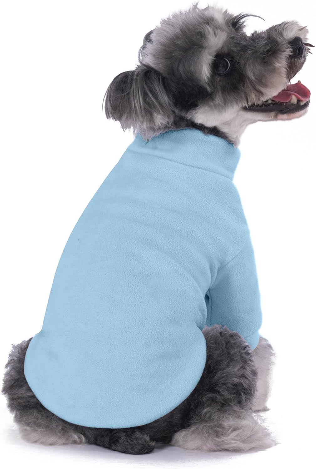 GYALAPERI medium size puppy jacket on a Maltese dog