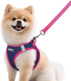 rabbitgoo Dog Harness Small Sized and Leash Set, Step-in Breathable Pet Harness, Soft Walking Reflective Puppy Vest for Small Dogs, Black & Rose Red, S - Image 10