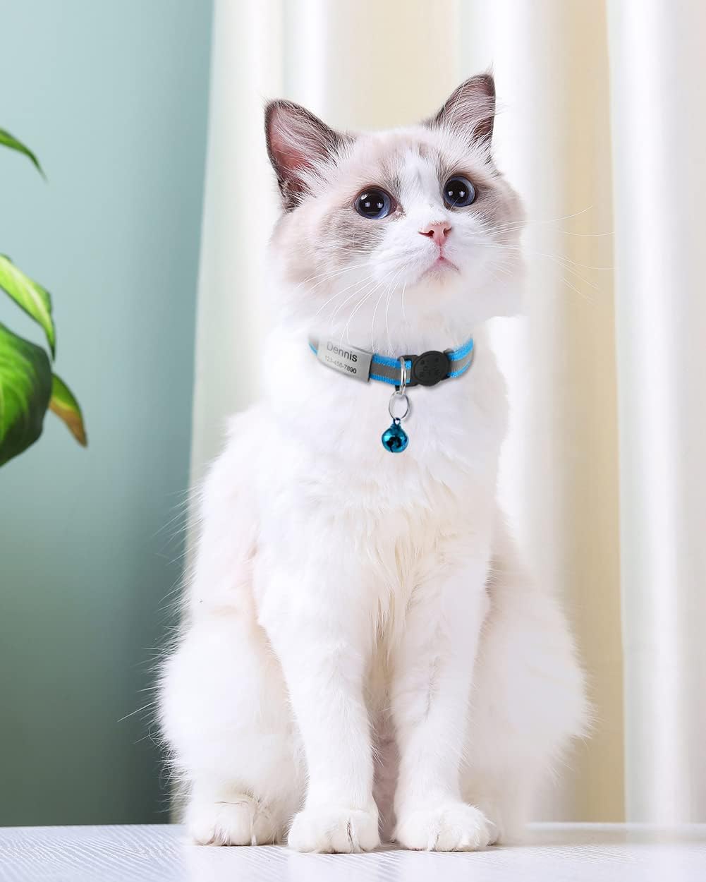 TagME adjustable kitten collar package with detachable bells
