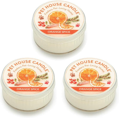 Lifestyle shot of Pet House candles in a pet-friendly home