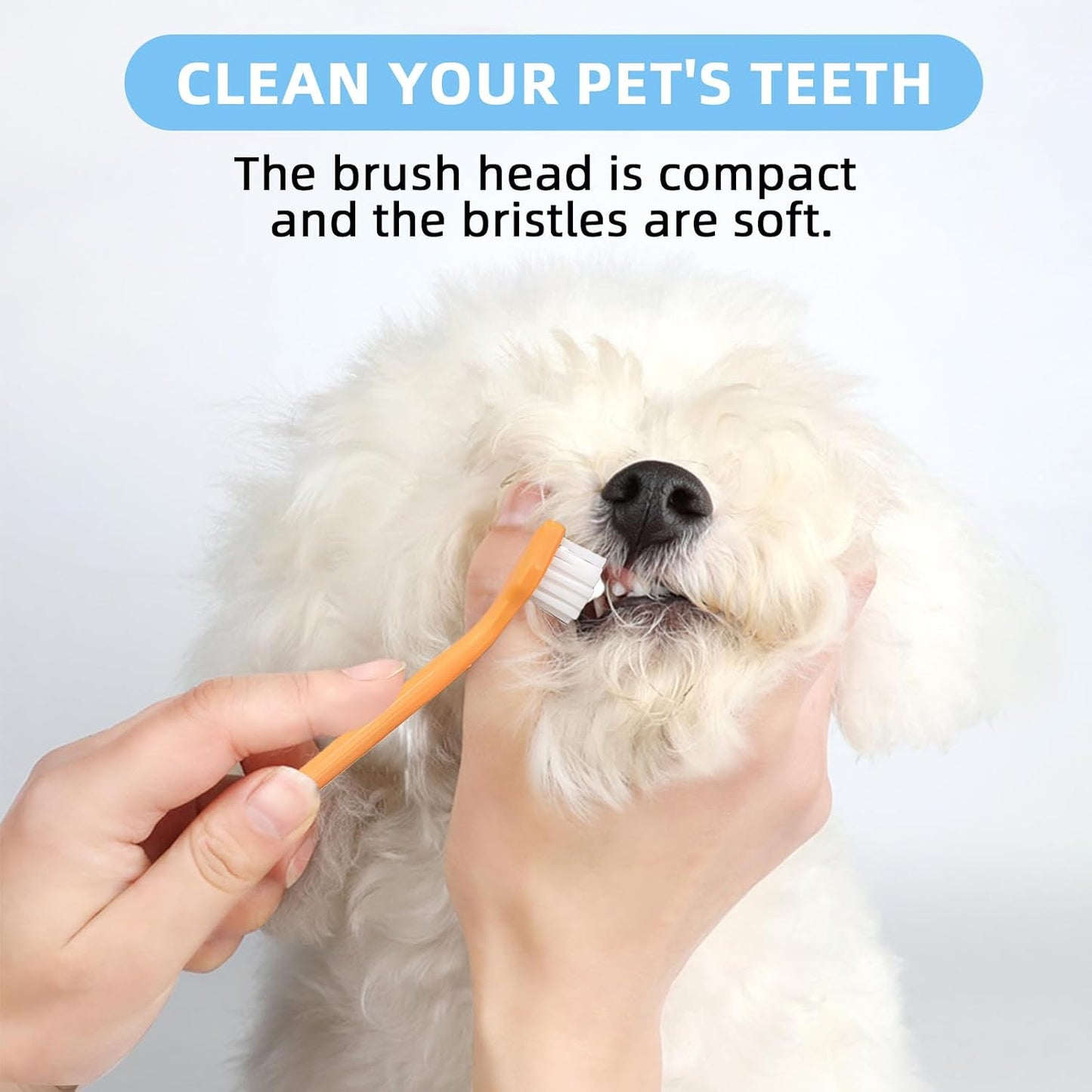 Saficco flexible silicone finger toothbrushes for precise dog teeth cleaning.