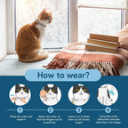 Foodie Puppies flea collar packaging showing 8 months protection