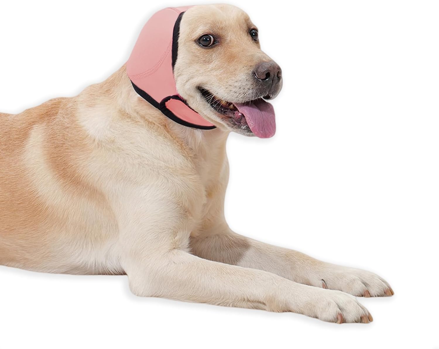 Dog Ear Cover for Hematoma,Bathing,Grooming,Drying,Fashion No Shake Ear Wraps for Dogs Ear Muffs Noise Protection Anxiety Relief,Waterproof Dog Calming Hoodie Shower Cap(Green,M) - Image 9