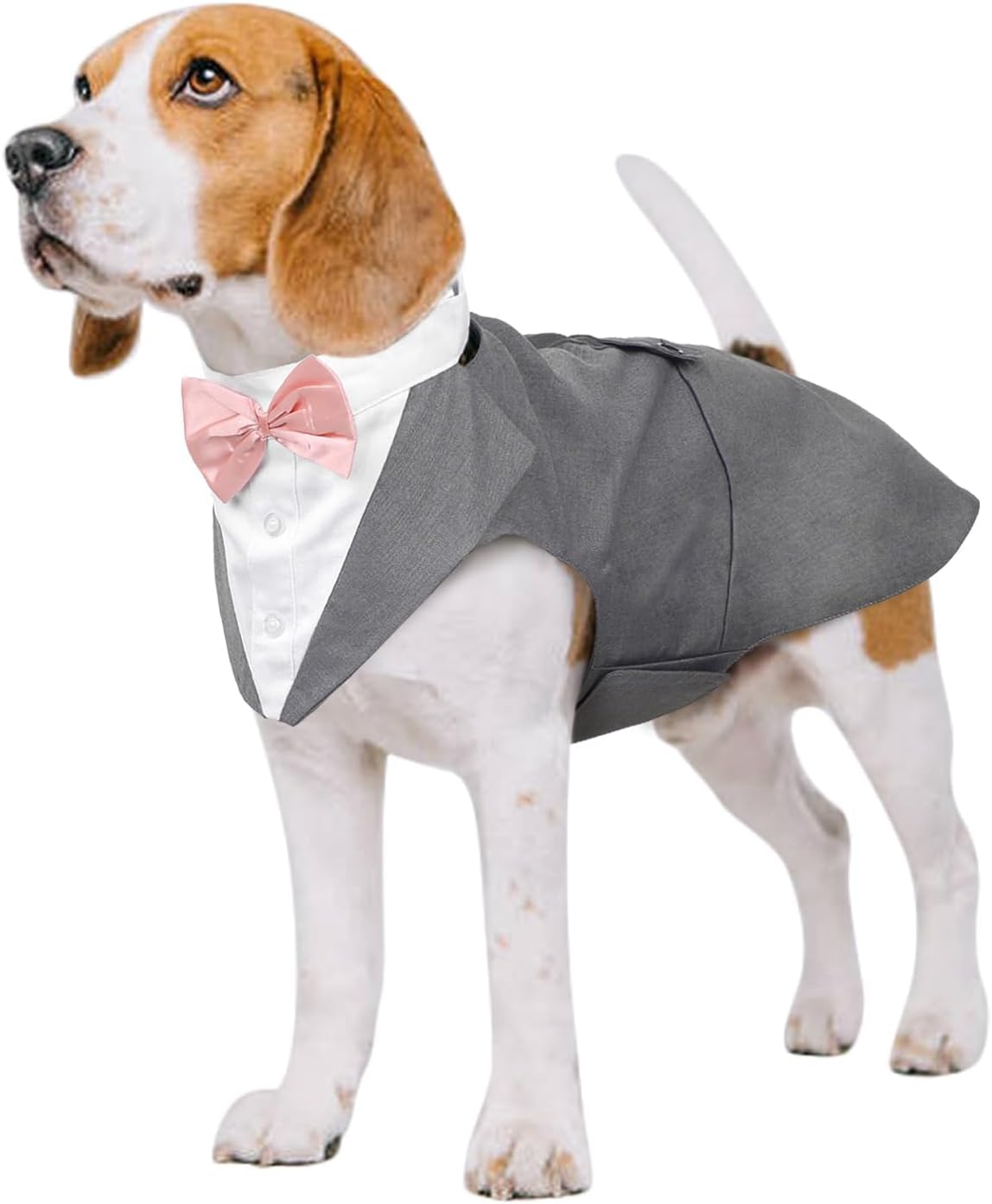 Kuoser Independence Day Dog Tuxedo Dog Suit and Bandana Set, 4Th of July Dog Costume American Flag Dog Outfit with Bow Tie for Large Medium Small Dogs Golden Retriever Samo Bulldogs, L - Image 13