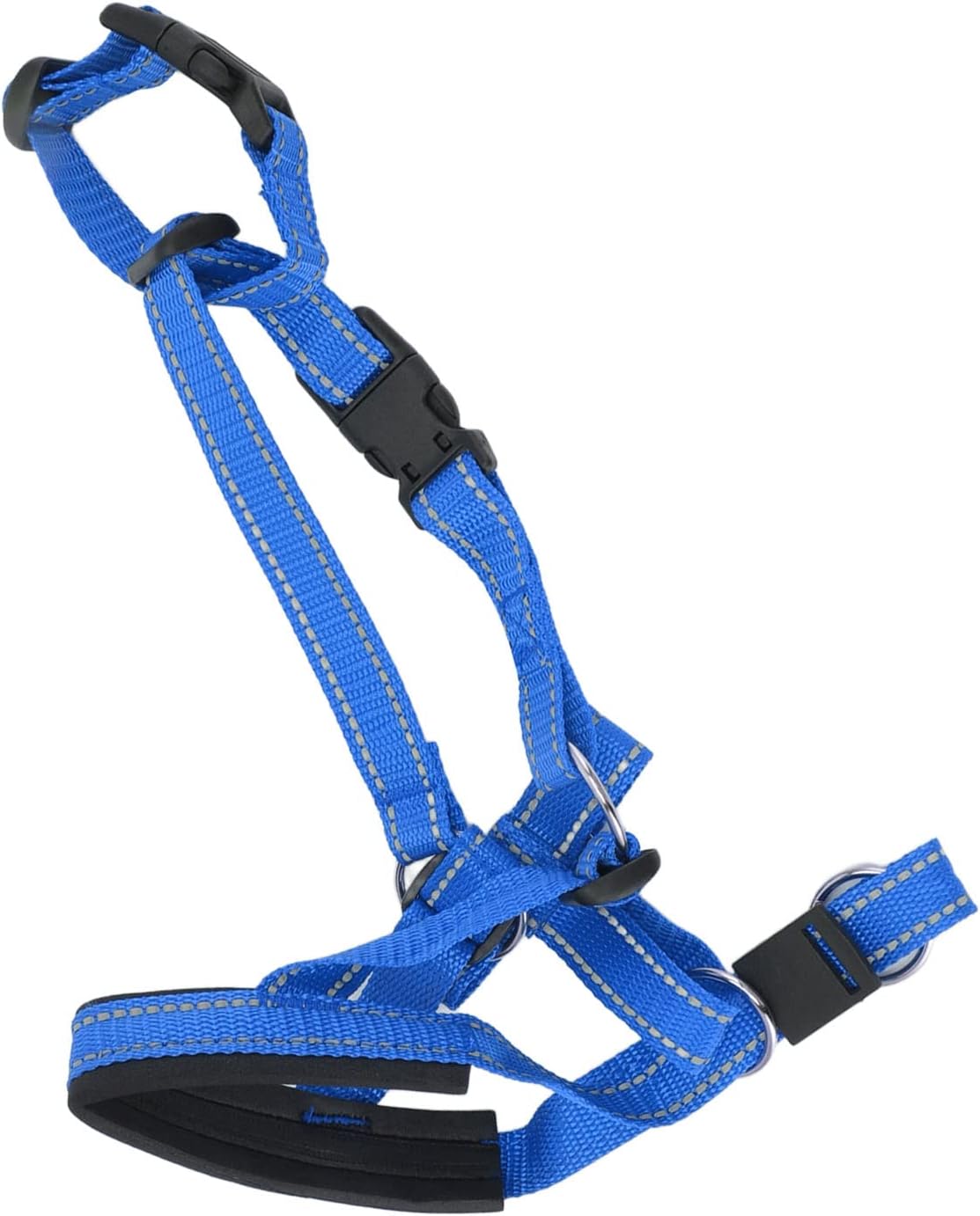 Gavigain dog head collar showing adjustable straps and plastic buckle