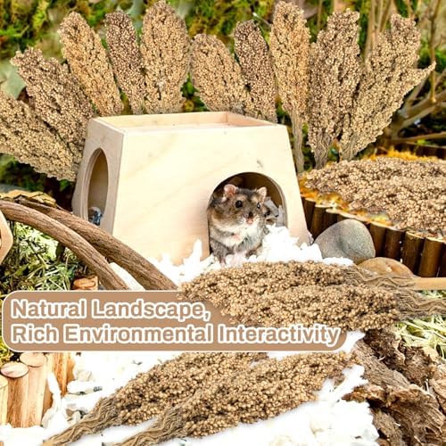 Sukh Natural Hamster Sprays - 5pcs Natural Sun-Dried Red Sorghum Grain,Flower & Herb Grain Stalks for Cage Habitat Bedding Decor for Dwarf Syrian Hamsters,Gerbils,Mice,Cockatiels - Image 5